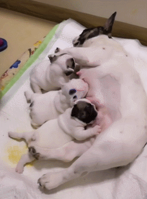 640 (7).gif 640 (7).gif